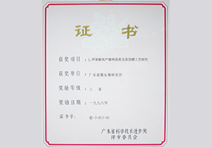 1998年廣東省科技進步獎三等獎
